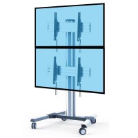 Totem vidéo Arizona